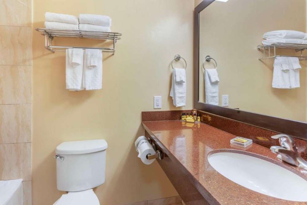 Best Western Plus Airport Plaza Main image