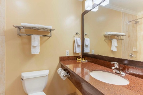 Best Western Plus Airport Plaza image 17